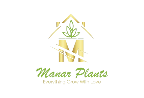 manar logo removebg preview